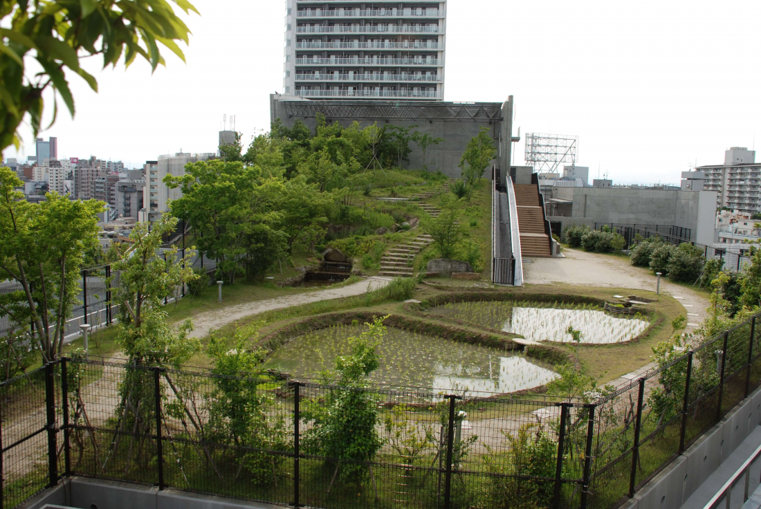 目黒天空庭園